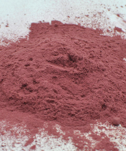 Beet Root Extract 2% Nitrate