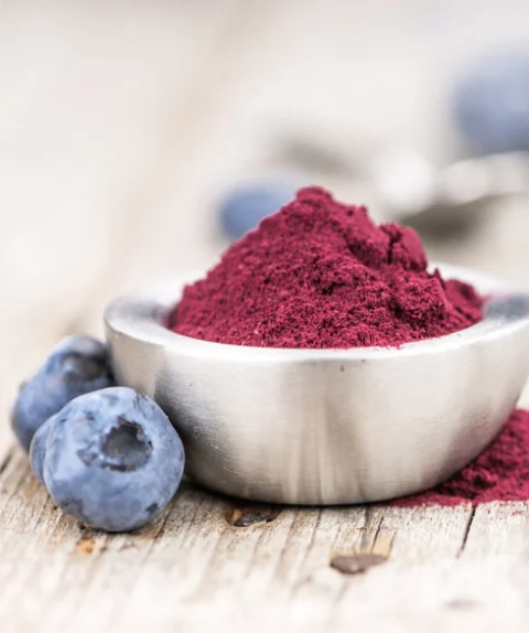 Features of Blueberry Powder