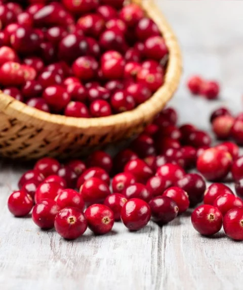 Features of Cranberry Powder
