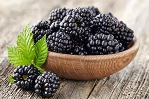 Organic Blackberry Powder