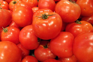Organic Tomato Fruit Powder
