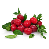 Bio-Cranberries
