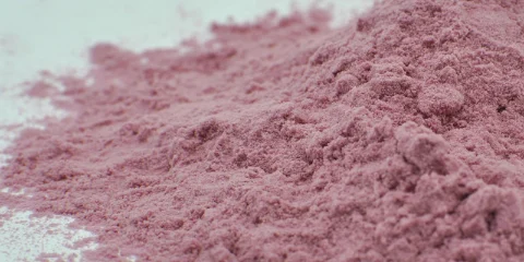 FruiVeg® Organic 15 Blend Powder