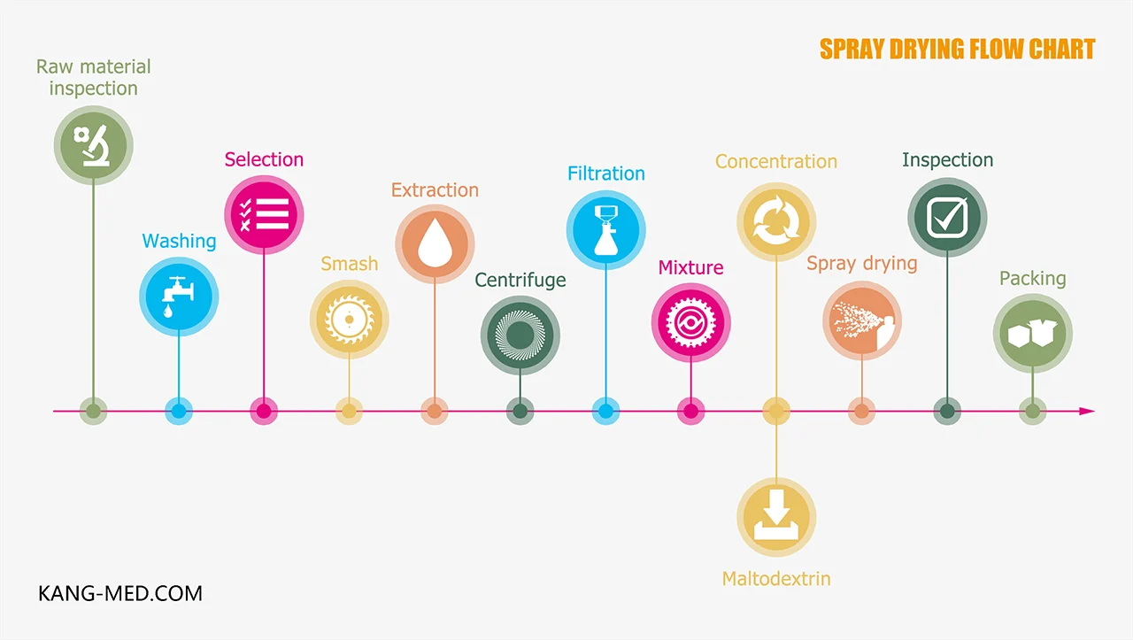 Fruit and vegetable powder production spray drying flow chart